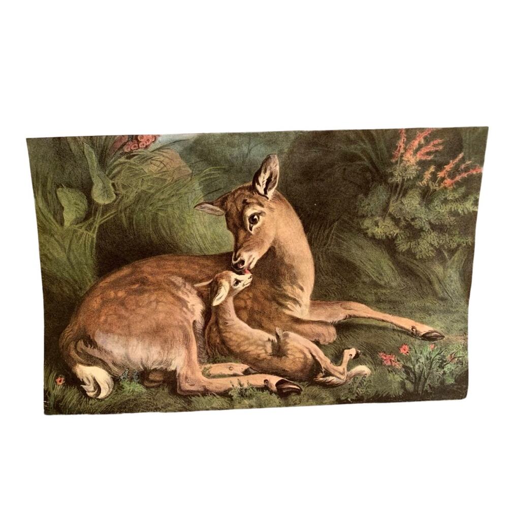 1963 Vintage The Travelers Calendar Doe with Baby Fawn Deer Art Print